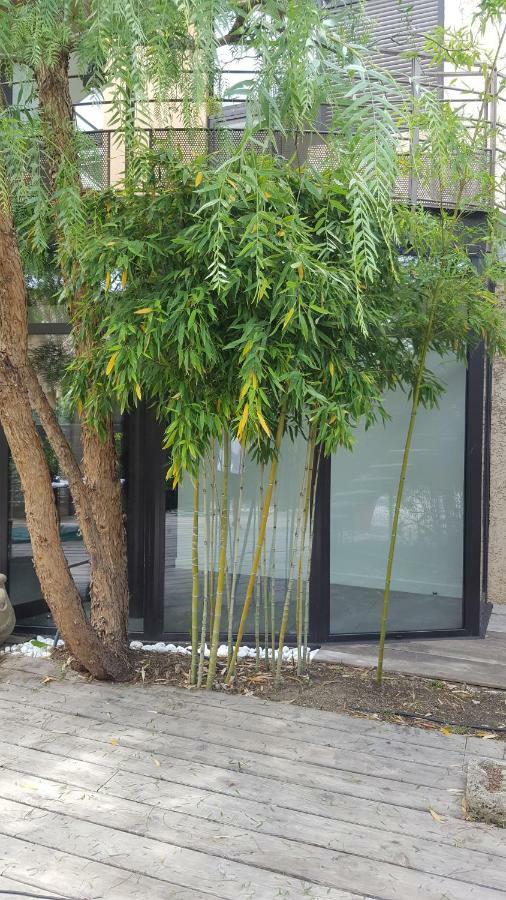Les Aromatiques - Terrasse & Parking Prive A Villeneuve Les Avignon - Proche Golf Academy Екстериор снимка